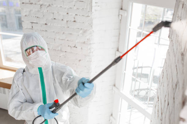 Best Indoor Air Quality Assessment  in Tipton, CA