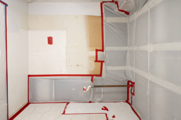 Best Post-Remediation Verification Testing  in Tipton, CA