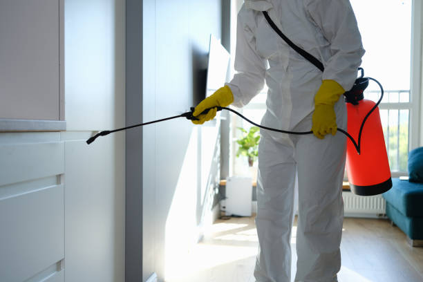 Mold Remediation for Vacation Homes in Tipton, CA