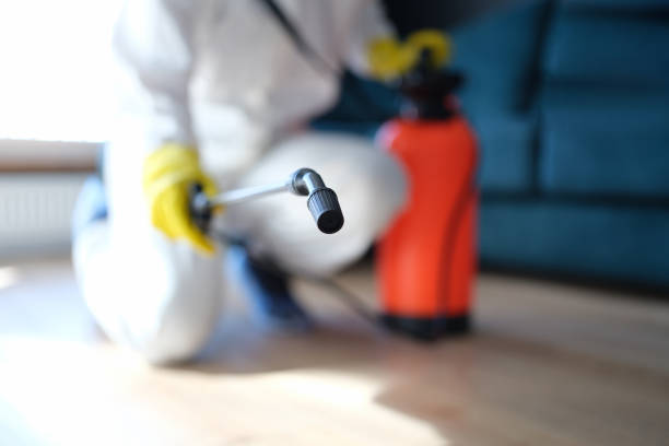 Best Comprehensive Air Testing for Mold Contaminants  in Tipton, CA
