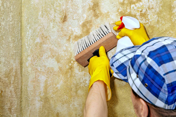 Best Residential Mold Inspection & Testing  in Tipton, CA
