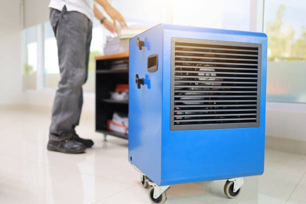 Best Environmental Consulting for Mold Prevention  in Tipton, CA