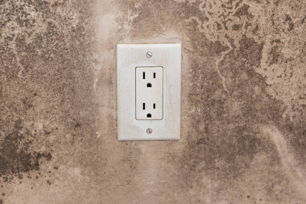 Best Emergency Mold Remediation  in Tipton, CA